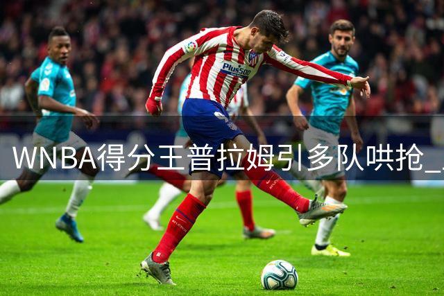 WNBA得分王普拉姆引多队哄抢 卫冕冠军神秘人或成最大赢家